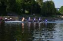Filename=DSC_0261.JPG
Filesize=1483KiB
Dimensions=1800x1200
Date added=Jul 08, 2025 DSC_0261.JPG